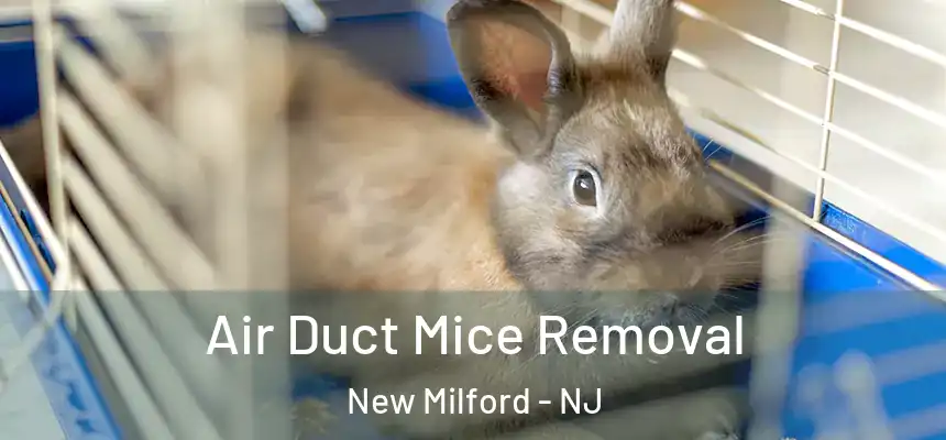  Air Duct Mice Removal New Milford - NJ