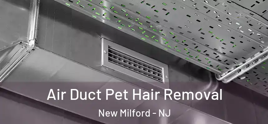  Air Duct Pet Hair Removal New Milford - NJ