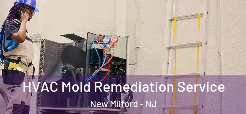  HVAC Mold Remediation Service New Milford - NJ