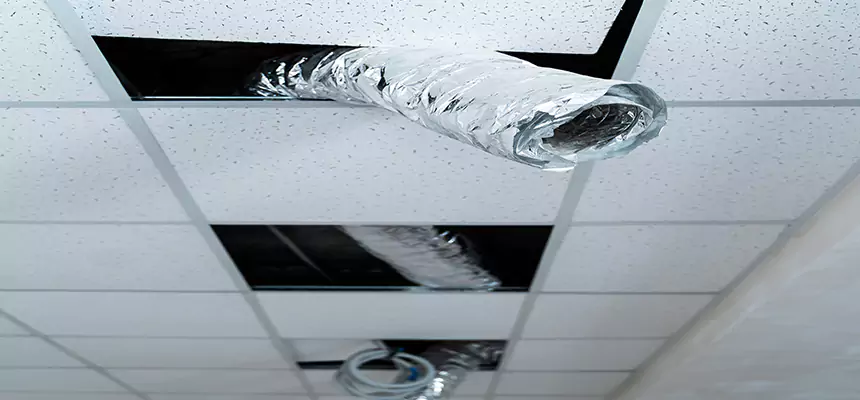 Our Air Duct Pet Hair Removal Services in New Milford, NJ