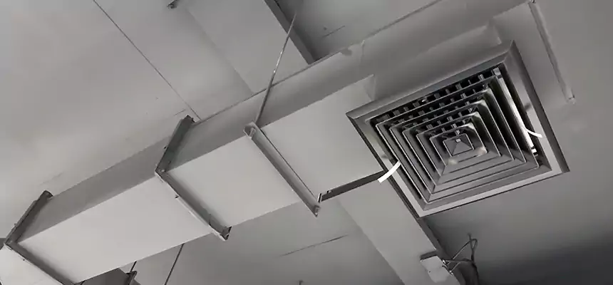 Our Rodent Droppings In Vents Services in New Milford, NJ