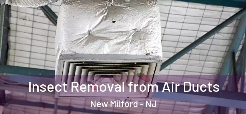  Insect Removal from Air Ducts New Milford - NJ