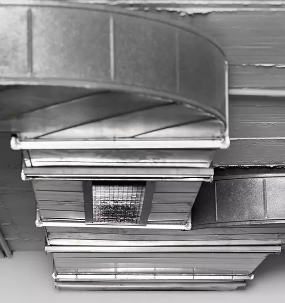 Professional Air Duct Pest Removal in New Milford, NJ