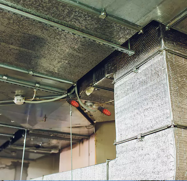 Why Homeowners & Businesses Trust Us in New Milford, NJ?