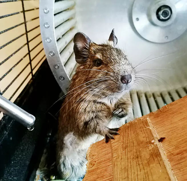 Why Homeowners & Businesses Trust Us New Milford, NJ